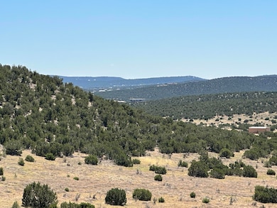 24 La Cantera, Sandia Park, NM 87047 - photo 7