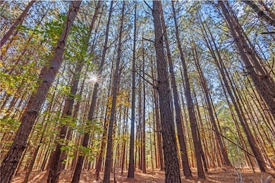 76 Paul Smith Rd, Covington, GA 30014 - photo 2