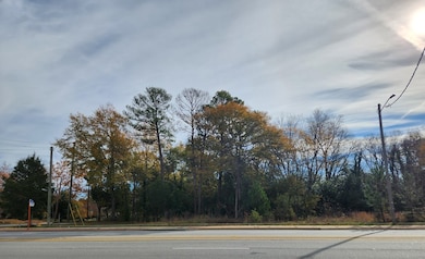 0 Warm Springs Rd, Columbus, GA 31904 - photo 2