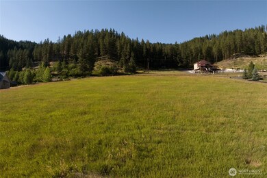 10479 Eagle Creek Rd, Leavenworth, WA 98826 - photo 3