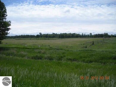 0 E Huron Rd unit 1763959, Omer, MI 48749 - photo 5