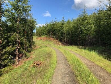 0 Old Military (Front) Rd unit 22329948, Dallas, OR 97338 - photo 6