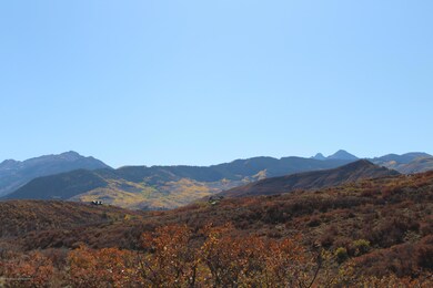 IMG_0735