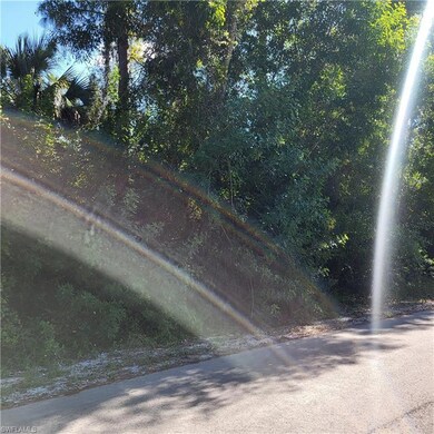 118 Irving Ave, Lehigh Acres, FL 33936 - photo 3