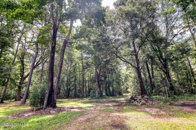 149 Tom Garner Rd, Mc Henry, MS 39561 - photo 5