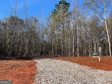 146 Berry Rd, Barnesville, GA 30204 - photo 5