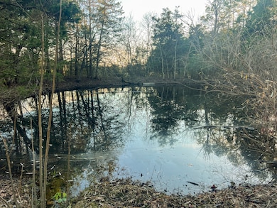 2146 County Road 5800, Willow Springs, MO 65793 - photo 3