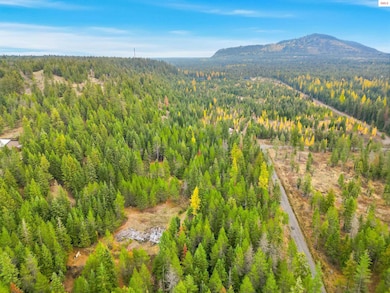 Beautiful Treed 5 Ac that has all the privacy you will want!