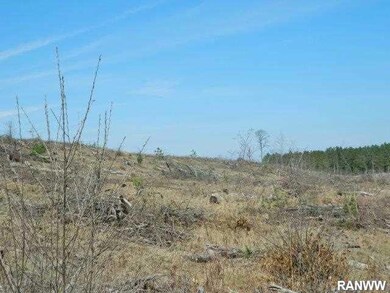 0 French Rd unit 900518, Danbury, WI 54830 - photo 2