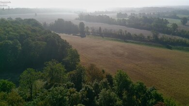 0 Section Line Rd unit 20253852, New London, OH 44851 - photo 4