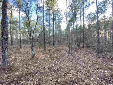 TBD 3.7 Acre Wilderness Ln, Loris, SC 29569 - photo 3
