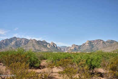 From NE Corner Across Property