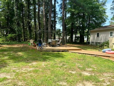 large back yard