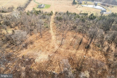 0 Back Mountain Road Lot 11, Winchester, VA 22602 - photo 4