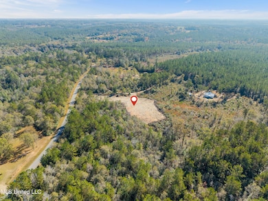 Nsn Country Hill Rd, Lucedale, MS 39452 - photo 6
