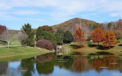 Additional View