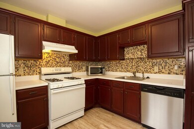 5011 Triplett Rd unit 5011, Owings Mills, MD 21117 - photo 7