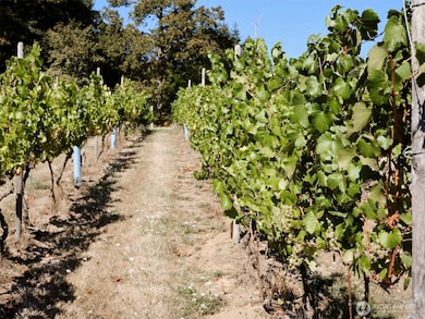 11700 NE 279th St, Battle Ground, WA 98604 - photo 6