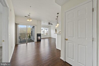 15620 Everglade Ln unit 301, Bowie, MD 20716 - photo 4