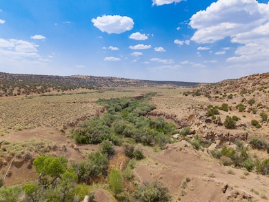 95 Cliff Thorn Rd, Quemado, NM 87829 - photo 6