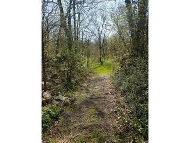 Path to the rear of the property. It keeps going, 