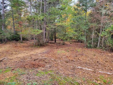 Lot 15-04-011-9 Fraser Rd, Thornton, NH 03285 - photo 4