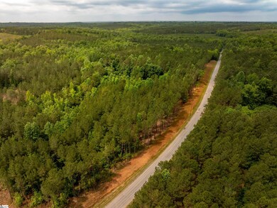 00 Elford Grove Rd unit Tract 1, Jonesville, SC 29353 - photo 7