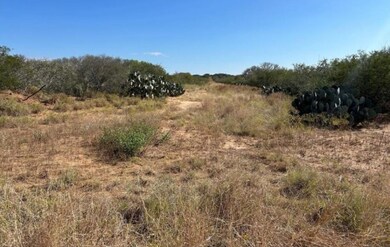 5150 Fm 2779, Pearsall, TX 78061 - photo 6