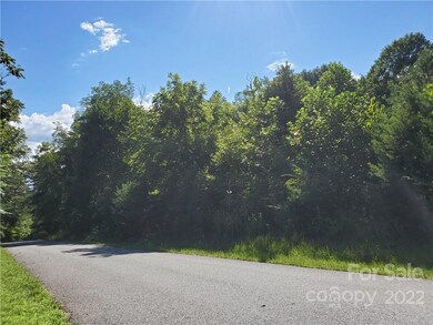 0 Wolf River Ln unit 62, Lake Lure, NC 28746 - photo 7