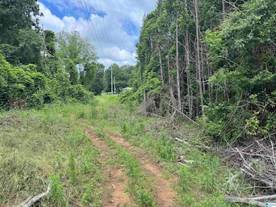 27414 Alabama 253, Hackleburg, AL 35564 - photo 3