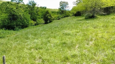 642 County Road 605, Green Forest, AR 72638 - photo 4