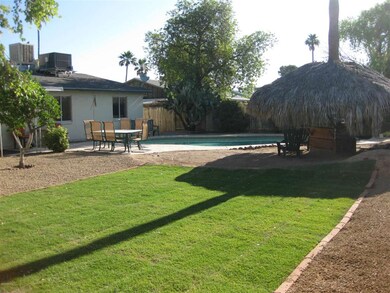 Backyard 3