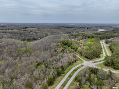 000 Parrish Ridge Ln, Tunnel Hill, IL 62972 - photo 7