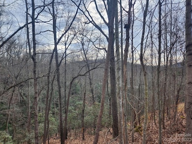 145 Ivywood Ln unit 10, Laurel Park, NC 28739 - photo 5