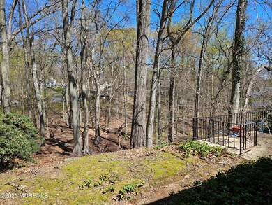 wooded property