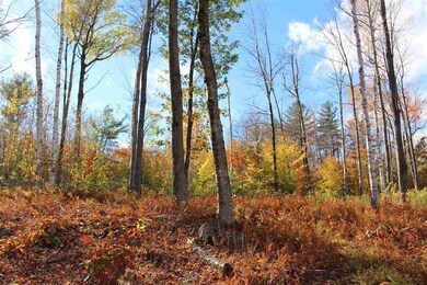 00 Meadow Rd, Newbury, NH 03255 - photo 4