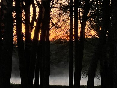 sunrisemourningdove