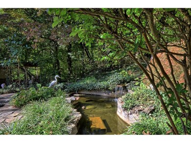 306 Holly St, Johnson City, TN 37604 - photo 5