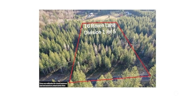 16 Raven Ln, Elma, WA 98541 - photo 3