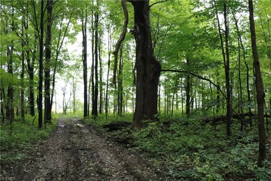 0 State Route 167 unit 4136104, Denmark, OH 44047 - photo 4