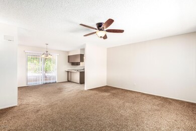 Spacious Family Room