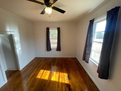 6689 Mcrae Hwy, Helena, GA 31037 - photo 5