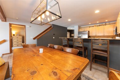 269 Kestrel Ln unit 269, Silverthorne, CO 80498 - photo 5