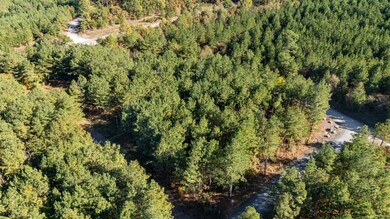 24 Cedar Tree Trail, Broken Bow, OK 74728 - photo 6