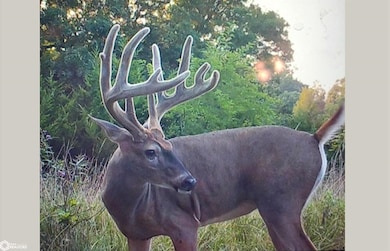 0 Tulip Ave, Floris, IA 52560 - photo 2