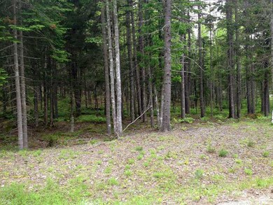 Land/Lot.