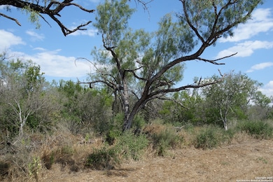 TBD 1343, Castroville, TX 78009 - photo 5