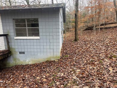 31 Lynwood Dr unit 31 Linwood Ct, Clarkson, KY 42726 - photo 5