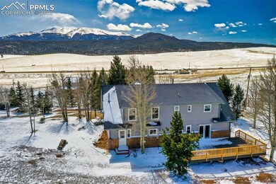 251 County Road 25, Divide, CO 80814 - photo 4