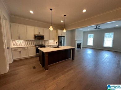 508 Preserve Pkwy, Hoover, AL 35226 - photo 6